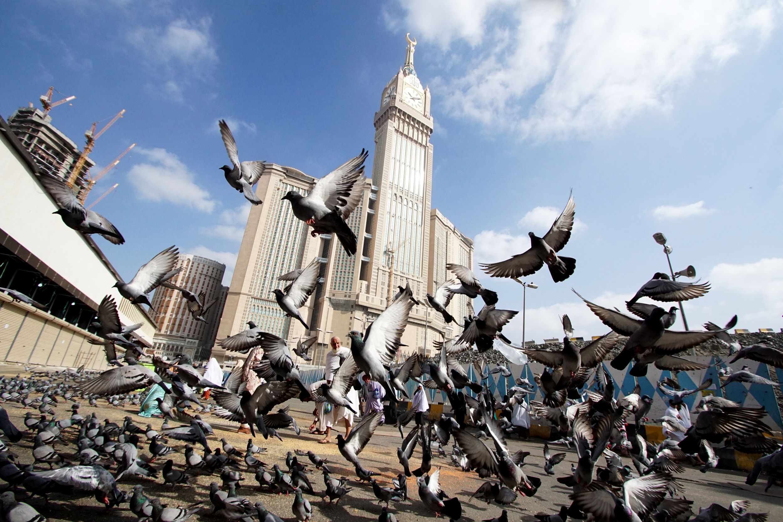 Guided Umrah Without Miqat